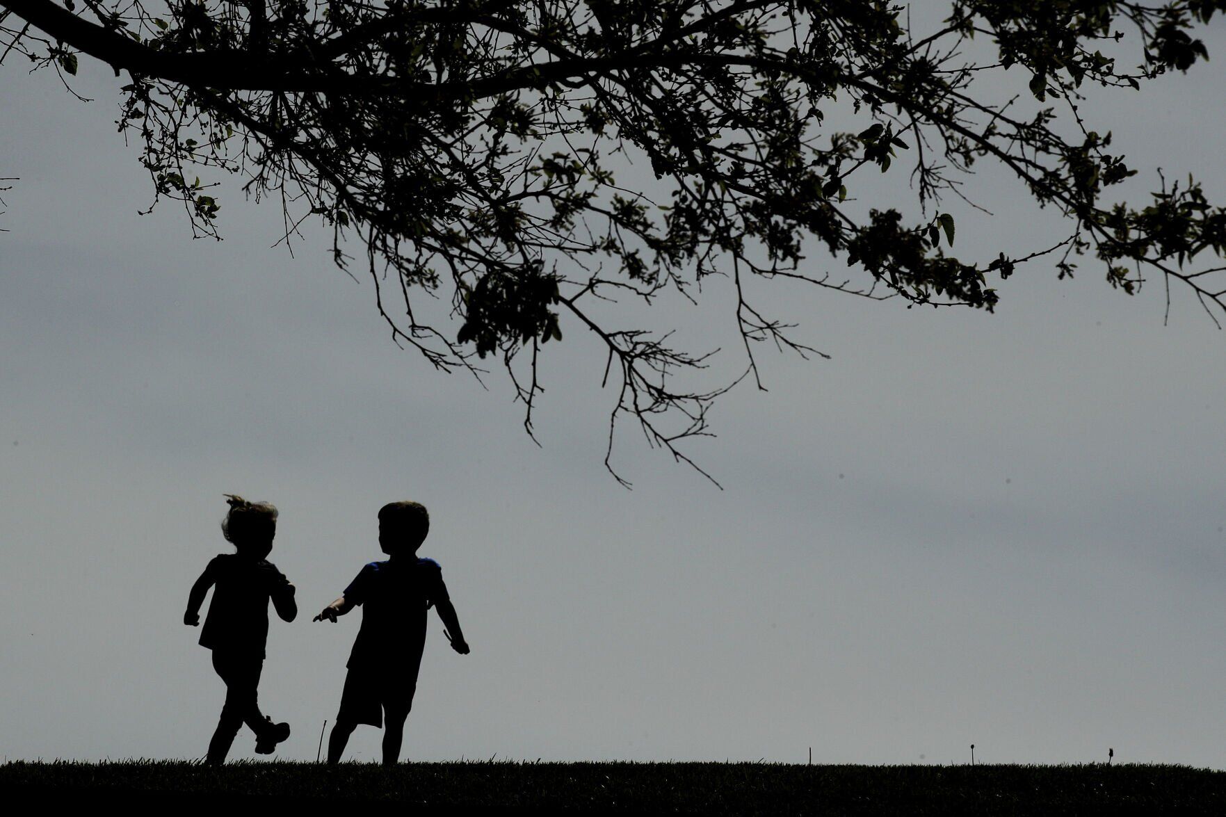 Health Study-Kids